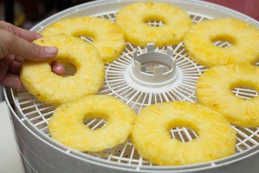 Fruit Leather Recipe Dehydrator, Dehydrator Recipes Fruit, Dehydrate Pineapple, Best Food Dehydrator, Dehydrating Food Storage, Fruit Leather Recipe, Food Dehydration, Healthy Summer Snacks, Buah Naga