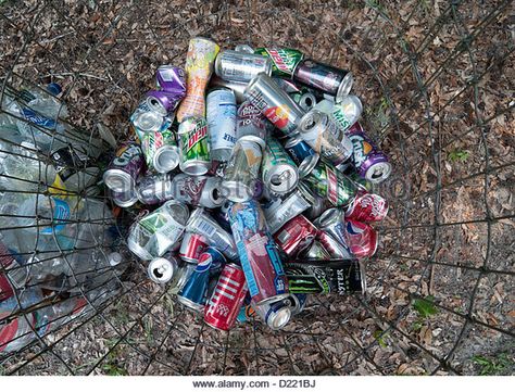 Recycling Aluminum Soda Cans Stock Photos & Recycling Aluminum ... Chanthaburi, Environmental Engineering, Aluminum Cans, Recyclable Materials, Image Vector, Soda Can, Stock Photography, Photo Image, Vector Illustration