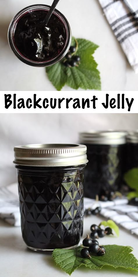 Blackcurrant Jelly ~ This easy homemade jelly only has two ingredients (Black currants and sugar).  No pectin required, and safe for canning.  #canning #foodpreservation #preservingfood #homestead #selfreliant #selfsufficiency #homesteading #blackcurrant #blackcurrantrecipes Black Currant Jelly Recipe, Black Currant Jelly, Black Currant Jam Recipes, Currant Jelly Recipe, Blackcurrant Recipes, Black Currents, Black Currant Recipes, Black Currant Jam, Blackcurrant Jelly