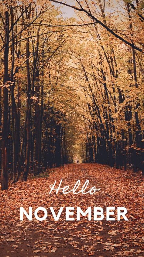 Hello November wallpaper to start of the month of November just right. November Images, Desktop Wallpaper Fall, September Wallpaper, November Wallpaper, Wallpaper Winter, Hello November, Thanksgiving Wallpaper, Cute Fall Wallpaper, Iphone Wallpaper Fall