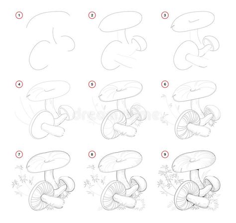 Draw Mushrooms, Pencil Drawings Of Nature, Step By Step Sketches, Easy Sketches, Drawing Guides, Mushroom Drawing, Flower Drawing Tutorials, Nature Sketch, Easy Doodles Drawings