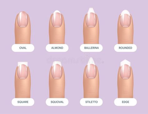 Set of simple realistic natural manicured nails with different shapes. Vector illustration for your graphic design. stock illustration Ballerina Vs Coffin, Best Summer Nail Color, Manicured Nails, Long Almond Nails, Natural Manicure, Shapes Vector, Nail Design Video, Acrylic Nail Shapes, Different Nail Shapes