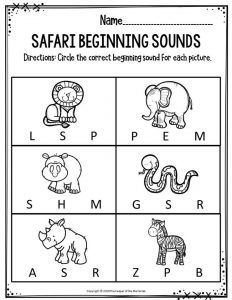 Preschool Worksheets Safari Beginning Sounds Rainforest Worksheets Preschool, Safari Animals Preschool, Zoo Animals Preschool Activities, Zoo Activities Preschool, Zoo Animals Preschool, Preschool Zoo Theme, Rainforest Crafts, Language Activities Preschool, Preschool Jungle