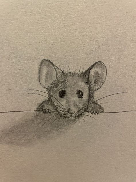 Mice Drawing Simple, Mice Illustration Drawings, Drawings Of Mice, Mouse Paintings Acrylic, Mice Tattoo, Mice Drawing, Maus Illustration, Mouse Sketch, Easy Animal Drawings