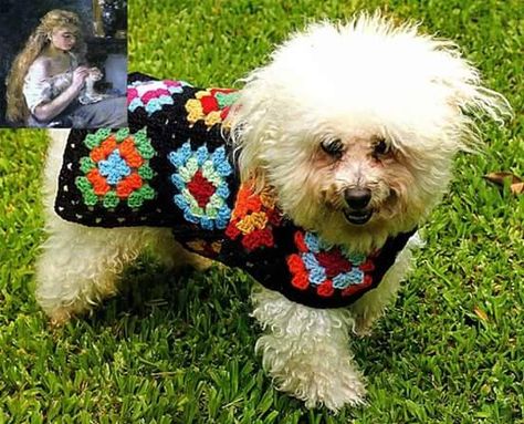 Granny Square Dog Sweater, Granny Square Dog, Dogs Dress, Diy Dog Sweater, Crochet Dog Clothes, Dog Coat Pattern, Dog Sweater Crochet Pattern, Dog Kennel Cover, Dog Crate Cover