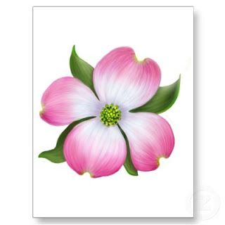 Dogwood Blossom Drawings | PURCHASE DESIGNS HERE Dogwood Tattoo, Pink Dogwood Tree, Dogwood Flower Tattoos, Felting Inspiration, Dogwood Blooms, Tattoo Tree, Dogwood Tree, Tree Blossom, Pink Dogwood