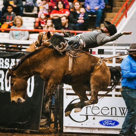 The Rodeo is coming to town June 14th and 15th! 📅 Enjoy thrilling events like Bareback Bronc Riding, Saddle Bronc Riding, Calf Roping, Cowgirl's Breakaway Roping, Steer Wrestling, Team Roping, Barrel Racing, and Bull Riding. Special attractions include the Kids Gold Rush and Best Dressed Cowboy & Cowgirl Contest for children 10 and under, plus hilarious rodeo clown, Mighty Mike Wentworth. The rodeo kicks off at 7:30 both nights and kid events start 30 minutes before each show. Tickets are ... Breakaway Roping, Steer Wrestling, Saddle Bronc Riding, Rodeo Clown, Riding Saddle, Mighty Mike, Saddle Bronc, Calf Roping, Bronc Riding