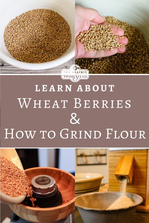 Wheat Berries Flour, The Prairie Homestead Recipes, Grinding Wheat Berries, How To Grind Your Own Wheat, Making Flour From Wheat, Grinding Your Own Spices, How To Make Flour From Wheat, Grind Your Own Flour, Making Your Own Flour