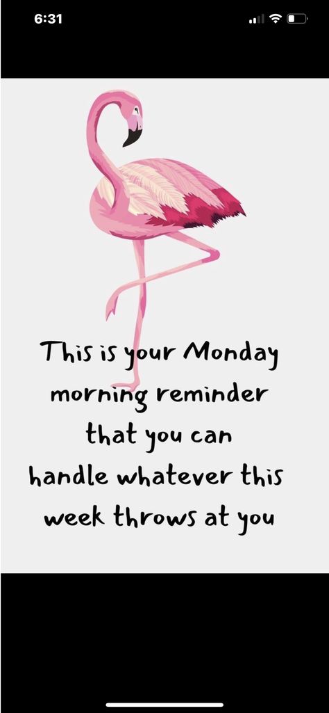 Flamingo Quotes, Flamingos Quote, Community Love, Flamingo Pictures, Fancy Flamingo, Old Is Gold, Happy Day Quotes, Mottos To Live By, Funny Flamingo