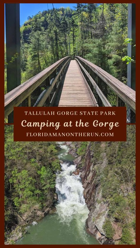 Tallulah Gorge, Georgia Travel Guide, Gorges State Park, Rv Trips, State Park Camping, Florida Man, Fall Camping, Georgia Travel, All I Ever Wanted