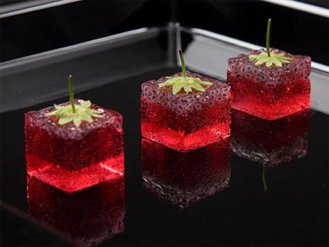 Molecular Food, Molecular Gastronomy Recipes, Gastronomy Food, Molecular Cuisine, Pav Recipe, Beef Wellington, Molecular Gastronomy, Food Science, Japanese Sweets