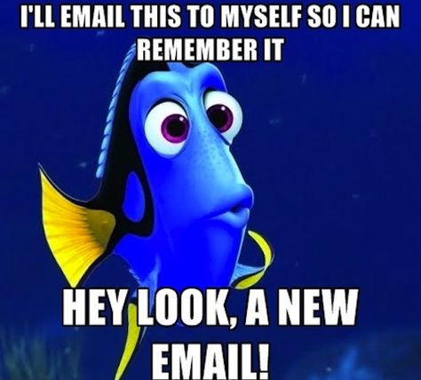 Really Funny Memes: Forgetful Dory - Ruin My Week  #funny #pictures #photos #pics #humor #comedy #hilarious #meme #memes Single Jokes, Funny Relationship Memes, Funny Relationship Quotes, Single Humor, Relationship Memes, Dating Memes, Funny Relationship, Dating Humor, Elton John