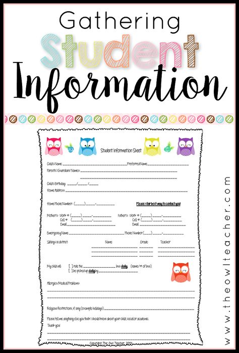 It's critical to collect student information in a binder for a substitute or for classroom management. This post provides you with the perfect form to collect vital information about your students for your organized binder - and it's FREE! Organized Binder, Preschool Forms, Student Info Sheet, Student Information Form, Student Information Sheet, Owl Teacher, Teacher Tricks, Perfect Classroom, Owl Theme Classroom