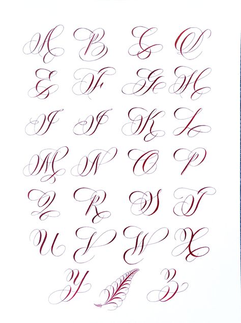 Best Cursive Fonts, Alphabet Font, Calligraphy Font, Handwritting Font, Fancy Font, Tatto Font, Modern Font, Wedding Font,etc. #font #cursivefont #calligraphyfont #alphabetfont #font2023 Flourishes Calligraphy Alphabet, Different Calligraphy Styles, 3d Calligraphy Alphabet Fonts, Spencerian Alphabet, Flourishing Calligraphy Alphabet, Letter T Calligraphy, Script Lettering Alphabet, Flourished Calligraphy Alphabet, Cursive Alphabet Calligraphy