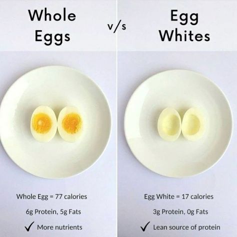 Benefits Of Eating Eggs, Makanan Rendah Kalori, Food Calorie Chart, Source Of Protein, Healthy Facts, Food Health Benefits, Eating Eggs, Healthy Lifestyle Food, Good Health Tips