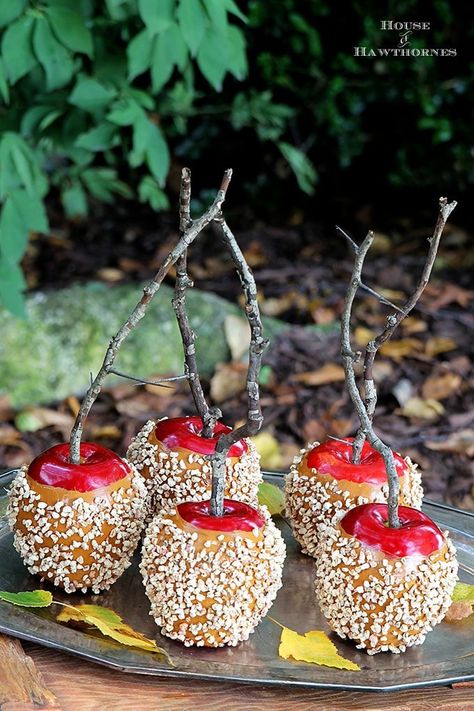 Quick and easy instruction for how to make DIY faux caramel apples for your fall decor. They are great for Halloween decorations also and they last years. Faux Caramel Apples, Dollar Store Fall Crafts, Dollar Store Fall Decorations, Food Props Diy, Fall Crafts For Adults, Dollar Tree Pumpkins, Fall Decor Diy Crafts, Faux Food, Dollar Tree Fall