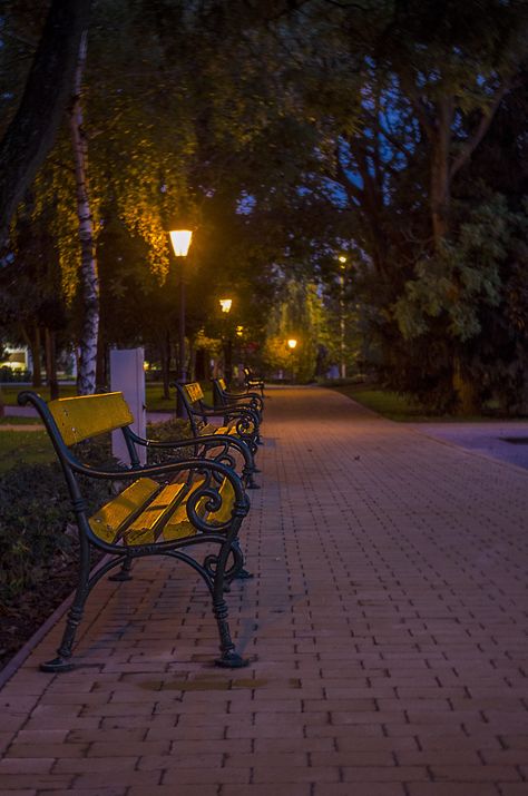 A parkban Aesthetic England, Cousin Squad, City Parks, Sky Photography Nature, Street Lights, Night Scenery, Night Landscape, Beautiful Views Video, Inspirational Wallpapers