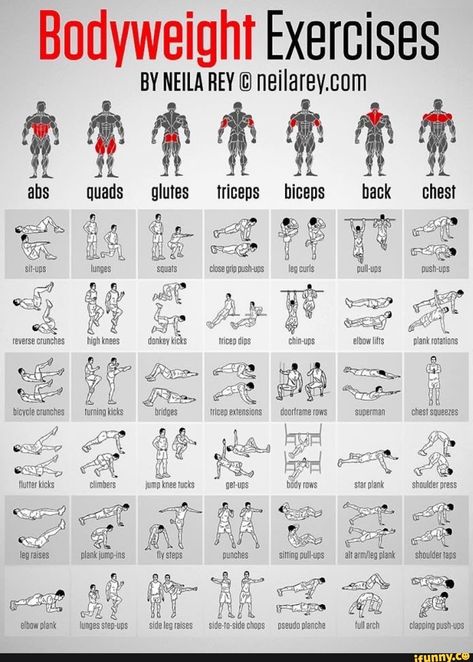 Found on iFunny Planning Sport, Best Workout For Women, Ab Workout Plan, Bodyweight Exercises, Exercise Plan, Calisthenics Workout, Muscle Building Workouts, Workout Chart, At Home Workout Plan