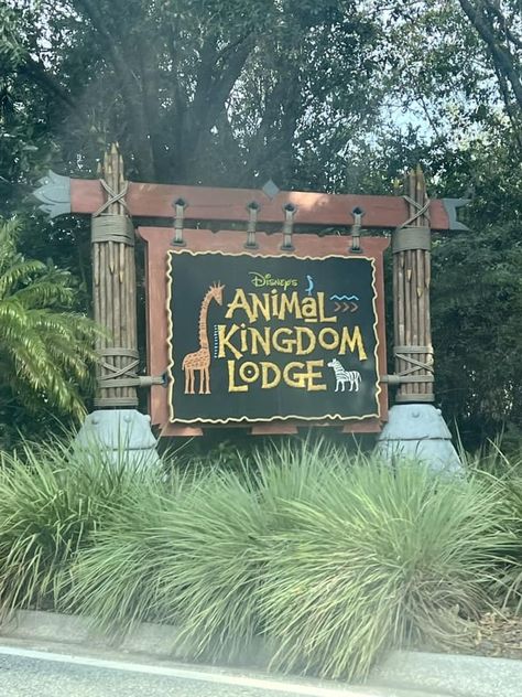 Disney?s Animal Kingdom Lodge Disney World Animal Kingdom Lodge, Animal Kingdom Resort, Animal Kingdom Orlando, Disney Proposal, Lodge Signs, Disney Animal Kingdom Lodge, Disney Wilderness Lodge, Movies Under The Stars, Water Playground