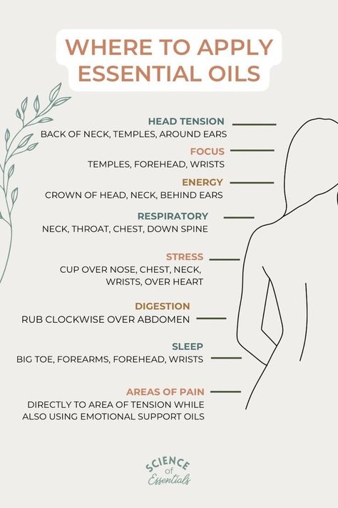 Where To Apply Essential Oils, Top Essential Oils, Essential Oil Education, Essential Oils For Pain, Education Science, Essential Oil Diffuser Blends Recipes, Essential Oil Remedy, Essential Oils Guide, Essential Oils Herbs