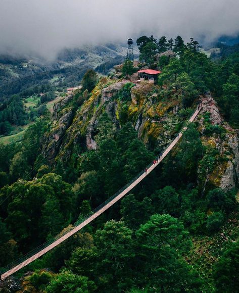 1,226 Me gusta, 10 comentarios - Vive Oaxaca (@vive_oaxaca) en Instagram: "Benito Juárez, Oaxaca 📸: @gustavomoguel • Selección: @chuchopotts #Vive_Oaxaca • • Comparte tus…" Hanging Bridge, Oaxaca City, Traditional Breakfast, Best Sunset, Beautiful Forest, Conde Nast Traveler, Sacred Places, Sea Level, Bike Ride