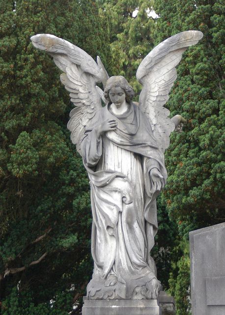 Angel Robed angel looking down Angels Looking Down From Heaven, Angel Looking Down, Angel Statues Sculpture, Cemetery Angels, Annabel Lee, Cemetery Statues, I Believe In Angels, Angel Statue, Angel Sculpture