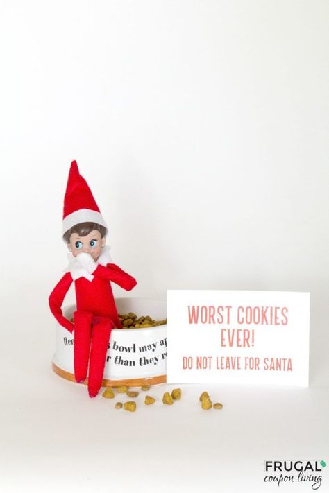 Worst Cookies Ever! Are you following all of Frugal Coupon Living’s Elf on the Shelf Ideas? See well over 100s of creative, funny, and original ideas for your Elf! Elf eats the dog food - worst cookies ever! Instant Download Printable. #elf #elfontheshelf #elfprintable #elfontheshelfideas #elfideas #printable Christmas Party Pictures, Elf Printables, Elf Ideas Easy, Elf Pets, Elf On The Shelf Ideas, Shelf Ideas, Christmas Activities, On The Shelf, The Elf