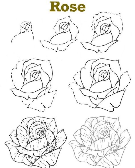 Draw Rose, Cute Flower Drawing, How To Draw Flowers, Easy Flower Drawings, Ink Flowers, Rose Sketch, Beautiful Flower Drawings, Draw Flowers, Flower Drawing Tutorials