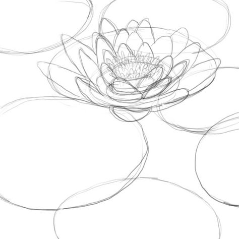 How to draw a lily pad - Drawing Factory Lily Doodle, Lily Pad Drawing, Lilies Drawing, Flowers Mandala, Draw Flowers, Flower Drawings, Flowers Drawing, Monet Art, Drawing Flowers