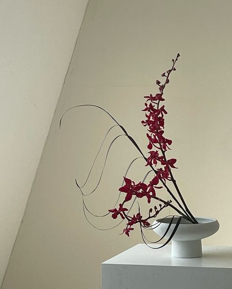 art piece -orchid Life Photography, Ikebana, Still Life Photography, Still Life, Orchids, Art Pieces, Flowers, Floral, Photography