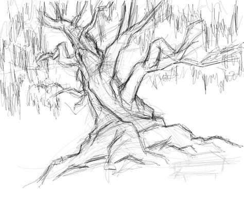 Looking Up At Trees Drawing, Horror Tree Drawing, Sketched Drawings, Sketches Tree, Sketching Plants, Tree Pencil Sketch, Tree Drawings, Family Tree Painting, Drawing Tree