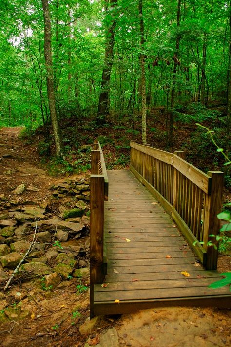 Moss Rock Preserve - Hoover, Alabama - July ... Hoover Alabama, Alabama Vacation, Free Camping, Sweet Home Alabama, Nature Preserve, Hiking Tips, Back Road, Natural Scenery, Photography Backdrop