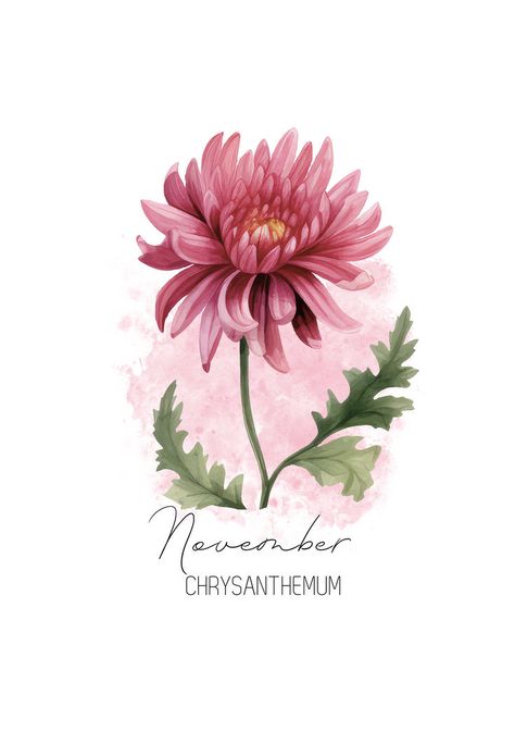 November birth flower, Chrysanthemum birth flower. Beautiful watercolor illustration of a vibrant Chrysanthemum that you can find on Greeting Cards, Mugs, T-Shirts, Throw Pillows, nature-inspired wall art, and much more. Charming and timeless gift for plant lovers and flower fanatics born in November. November birthday, Chrysanthemum birth flower, November birth flower, born in November, Scorpio, Sagittarius, zodiac flowers, autumn flowers, birth flowers, fall flowers, seasonal decor. Birth Flower November, Birth Flower Watercolor, November Birth Month Flower, November Flower, Flower Chrysanthemum, Birthday Month Flowers, November Birth Flower, Born In November, Birth Flower Tattoos