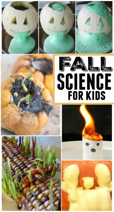 Fall Science, Science Experiments For Kids, Halloween Science, Experiments For Kids, Kid Experiments, Preschool Science, Things To Make, Homeschool Activities, Fall Activities