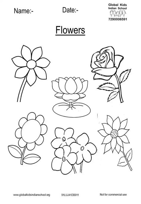 Plants Worksheets For Kids, Flowers Worksheets For Kids, Flower Worksheets Preschool, Homeschool Toddler Activities, Flower Drawing For Kids, Cursive Small Letters, Evs Worksheet, Preschool Classroom Rules, Toddler Homeschool Activities