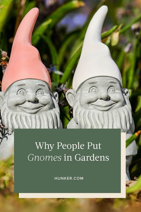 Here's everything you ever wanted to know about garden gnomes, from their origins in myths and literature to the reason why people love to stick them in their gardens. #hunkerhome #gardengnomes #gardendecor #gardengnomeideas Knomes Garden Ideas, Knomes Garden Diy, Gnomes Garden, Gnome Garden Outdoor, Diy Garden Gnomes, Garden Gnomes Ideas, Garden Gnome, Gnome Garden Ideas, Garden Gnomes