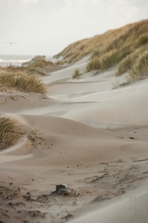 Sandy dunes on Vlieland - picture made by Bart Lebesque Dunes Aesthetic, Sandy Beach Aesthetic, Sandy Aesthetic, Beach Dunes, Landscape Beach, Sand Aesthetic, Seaside Pictures, Fauna Marina, Sand Dunes