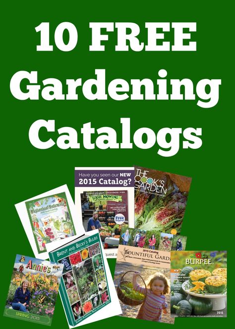 10 Free Gardening Catalogs to plan and enjoy for your upcoming garden. The winter months are a great time to let your imagination go wild! #gardening #catalog #garden #seeds #planting #gardenplan Companion Planting Guide, Companion Planting Chart, Garden Catalogs, Filling Food, Garden Help, Better Homes And Garden, Planner Printables Free, Easy Plants, Garden Pests