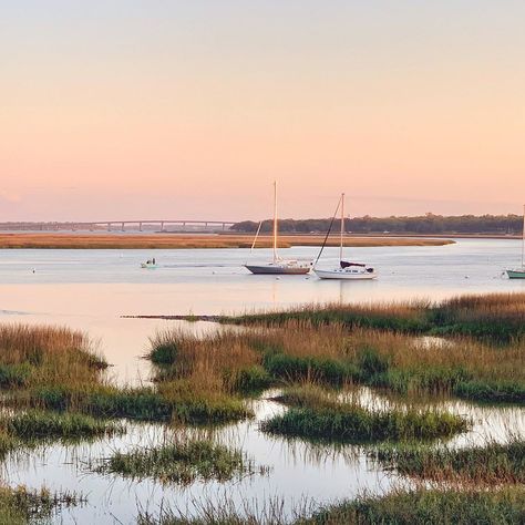 Classic Southern Aesthetic, Low Country Landscape, Lowcountry South Carolina, North Carolina Marsh, Southern Living Aesthetic, Southern Coastal Aesthetic, Southern Beach Aesthetic, Old Southern Aesthetic, Low Country Aesthetic