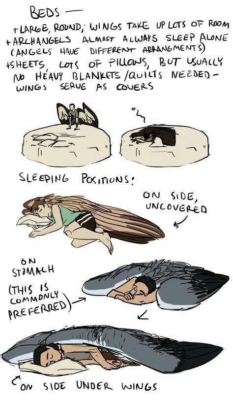 Wings On Characters, Winged Character Anatomy, Human With Bird Wings, Dragon Winged People, Fluffy Wings Drawing Reference, Wing Anatomy Angels, Sleeping Angel Drawing, 2 People Cuddle Reference, People Sleeping Together Reference