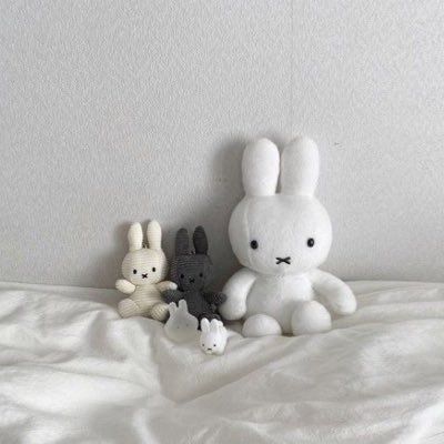 Miffy Stuff, Miffy Aesthetic, Gray Wallpapers, Cream Aesthetic, Gray Aesthetic, Korean Aesthetic, Japanese Aesthetic, Black And White Aesthetic, Aesthetic Colors