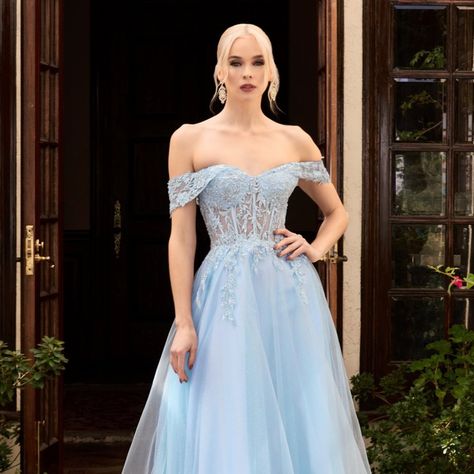 Cinderella wedding dress