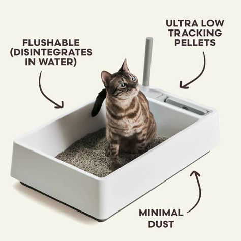 Hide Litter Boxes, Names Cat, Automatic Litter Box, Cat Litter Boxes, Cats Food, Cleaning Litter Box, Addie Larue, Content Creation Ideas, Litter Box Furniture