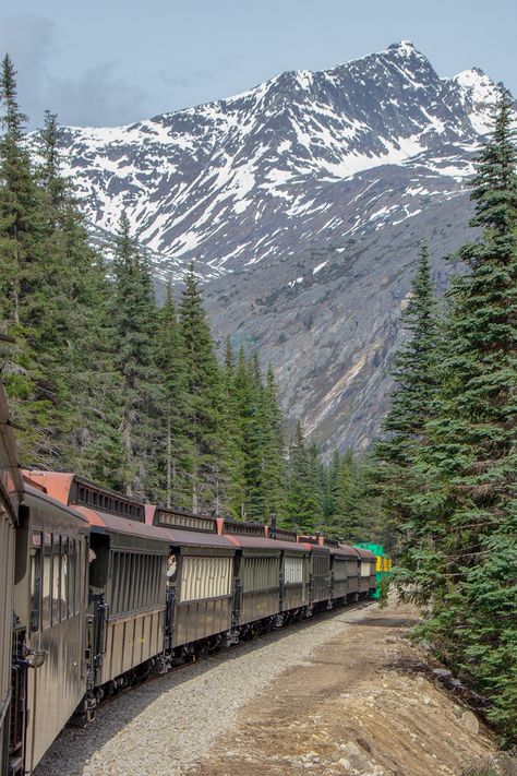 Skagway, Alaska's White Pass Railway Alaska Train Trips, Alaska Cities, Fishing Salmon, Alaska Train, Alaska Travel Cruise, Alaska Travel Guide, Alaska Cruise Excursions, Pass Photo, Klondike Gold Rush