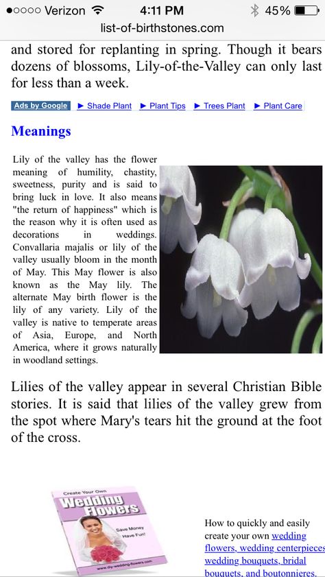 Lily of valley meaning Lily Of The Valley Meaning, Meaning Of Lily Flower, Meaning Of Lily Of The Valley, Lilies Meaning, Lily Of The Valley Witchcraft, Lily Of The Valley Essential Oil, White Lily Meaning, Lily Of The Valley Symbolism, Lily Meaning