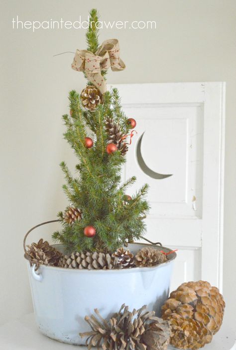 Vintage Enamelware Christmas Arrangement Enamelware Decor, Rustic Winter Decor, Primitive Country Christmas, Lovely Pictures, Holiday Arrangement, Farmhouse Holiday, Christmas Porch Decor, Vintage Enamelware, Christmas Arrangements