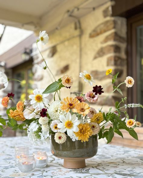 Are we really in the middle of August already?! Please, someone stop the clock. I am enjoying every minute of the flower garden and the beautiful blooms this time of the year. Even though I am really excited for fall weddings and events, I love the flowers this season. In this arrangement I gathered dahlias @sunnymeadowsflowerfarm from the garden, zinnias @floretflower, lisianthus @farmerbaileyplugs and cosmos from @johnnys_seeds . Enjoy and hold on to every summer day and night! 🤍🤍 #seasonal... Cosmos Wedding Flowers, Excited For Fall, Fall Weddings, Wedding Dinner, Beautiful Blooms, Day And Night, Summer Day, Time Of The Year, Dahlia