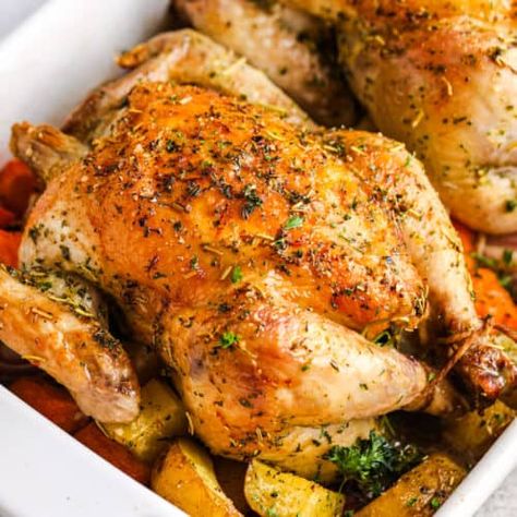 Roasted Cornish Hen - Spend With Pennies Cooking Cornish Hens, Roasted Cornish Hen, Oven Bag, Cornish Hen Recipe, Cornish Hen, Seasoned Veggies, Beef Stew Crockpot, Turkey Pot Pie, Cornish Hens