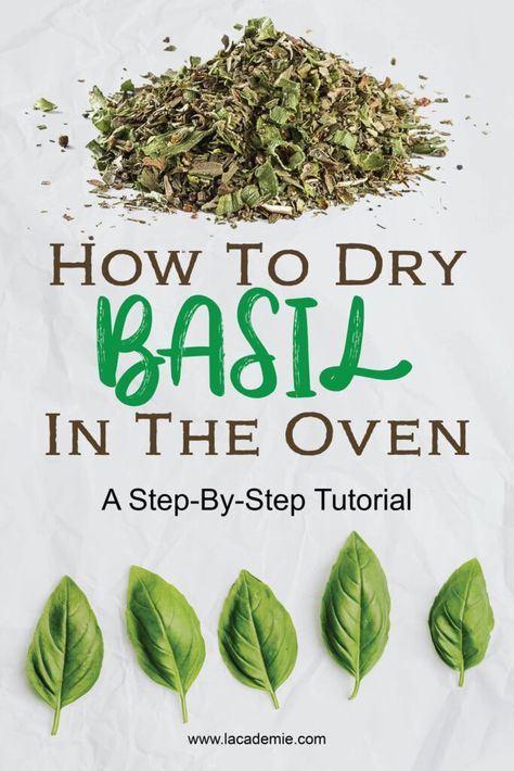 How To Dry Basil Leaves, Basil Preservation, Drying Fresh Basil, Drying Basil Leaves In Oven, Drying Basil Leaves In Microwave, Preserving Basil, Dried Basil Leaves, Basil Seeds, Shelf Life