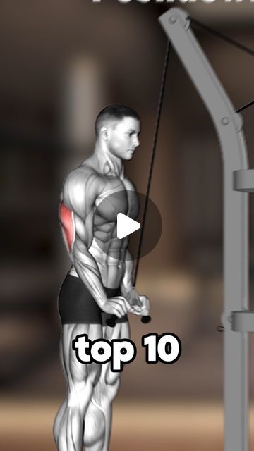 Triceps Cable Workout, Cable Tricep Workout, Tricep Cable Workout, Triceps Workout Gym, Tricep Workout Gym, Best Tricep Exercises, Machine Workouts, Cable Machine Workout, Triceps Exercises